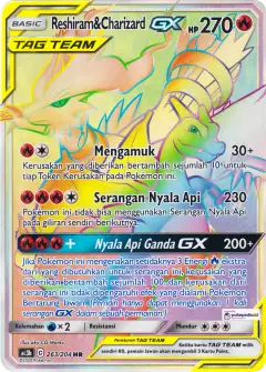Reshiram Charizard GX HR